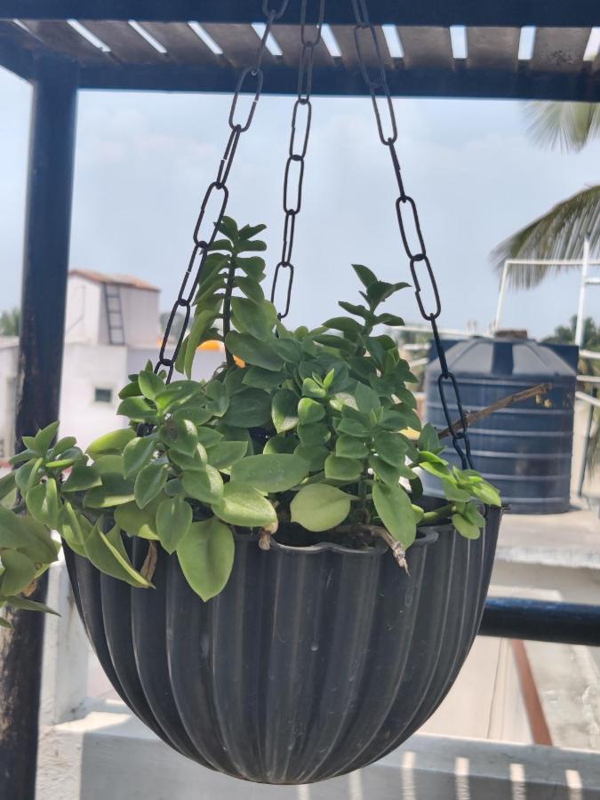 Apartamento Yoga House Vanivilasa Puram Exterior foto